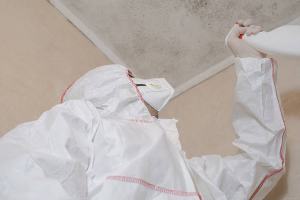 Best Emergency Mold Removal  in Melcher Dallas, IA