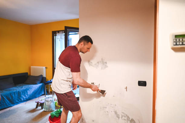 Best Attic Mold Removal  in Melcher Dallas, IA